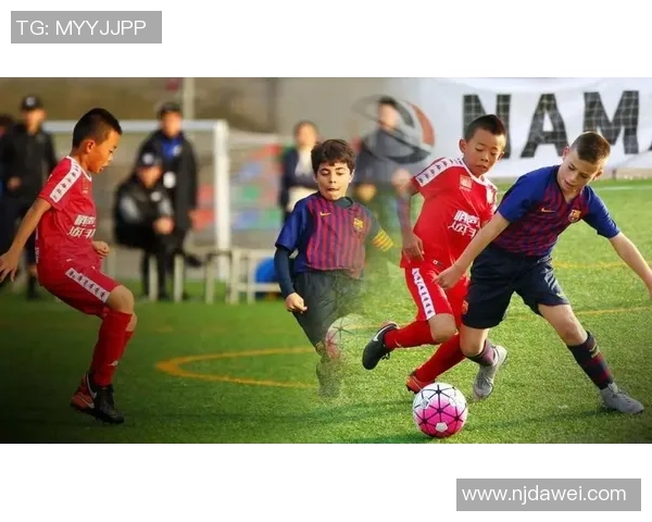 沈足球裁判的执法之路与中国足球发展的深度关联分析