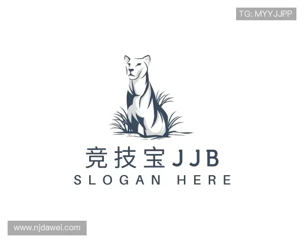 介绍竞技宝JJB